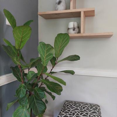 111